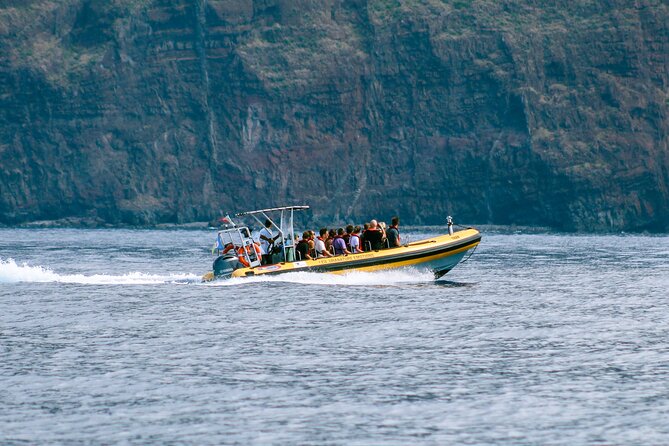 Madeira Dolphin & Whale Watching Tour - Transportation and Location