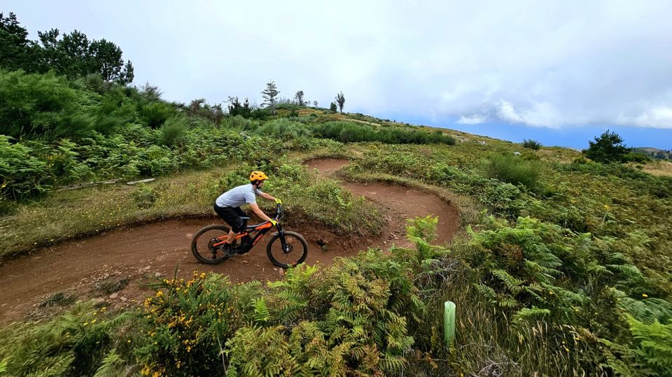 Madeira - Mountain Biking Tour - Natural Landscape Immersion