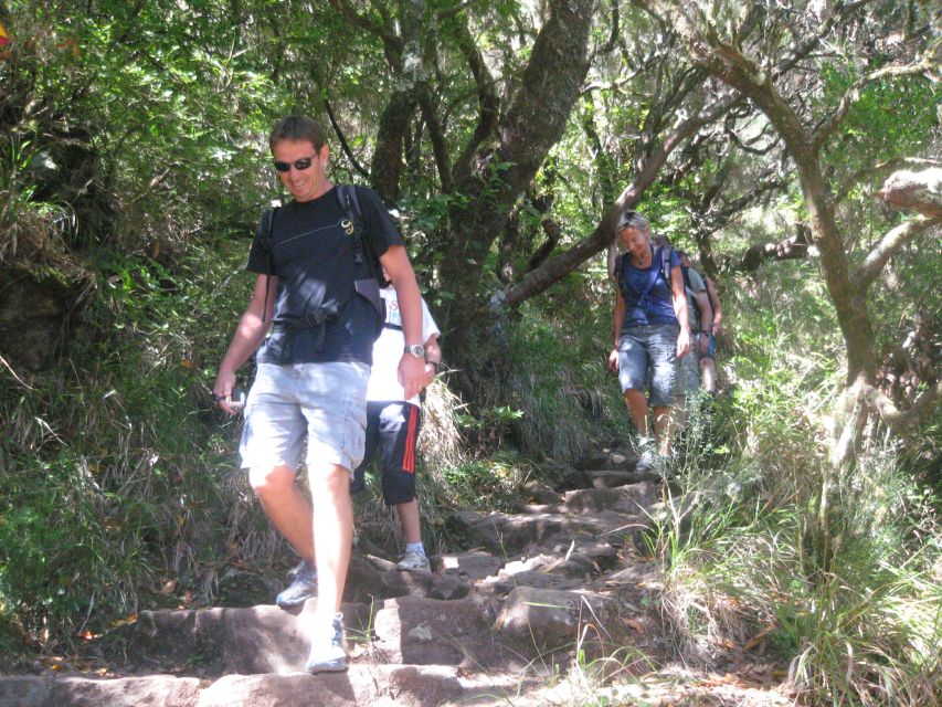 Madeira: Mountain Walk With Lagoon and Waterfalls - Trail Difficulty and Safety