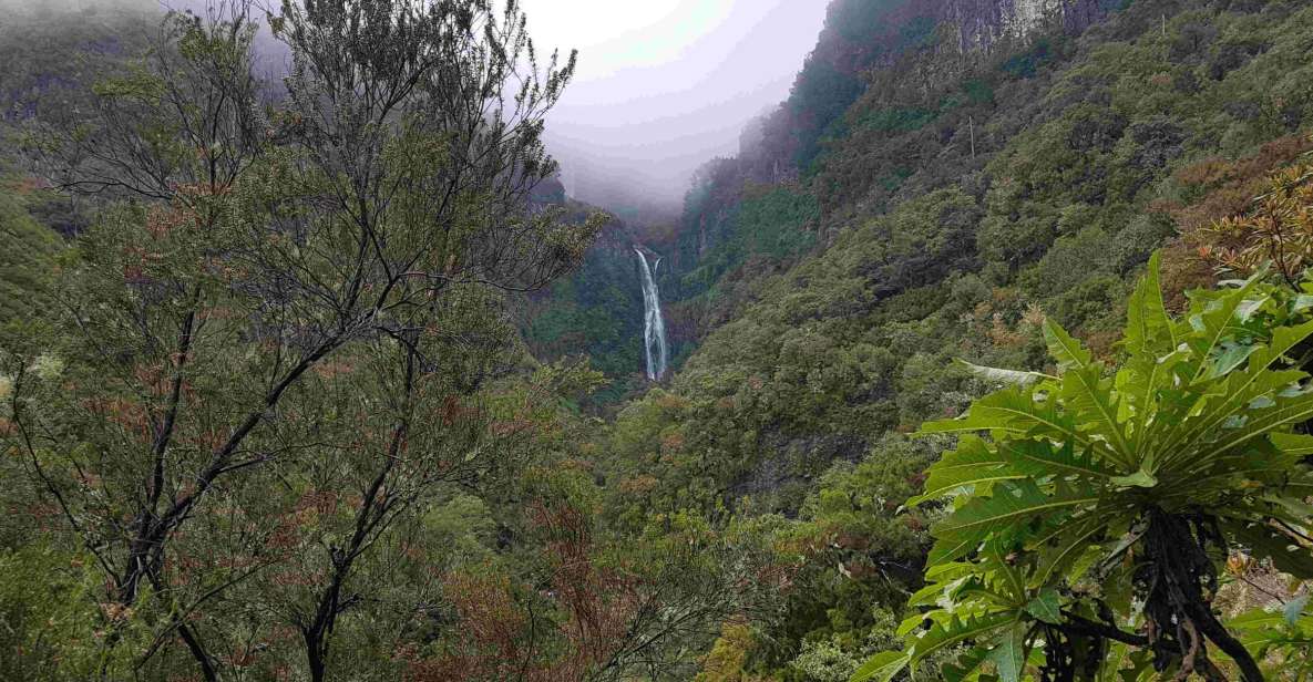 Madeira: Private Walking Tour of Levada Das 25 Fontes PR6 - Pickup and Drop-off