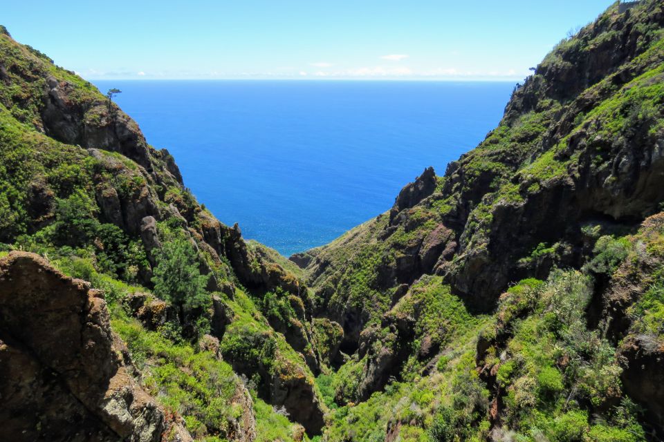 Madeira: Santo De Serra Local Farmers Market Half Day Trip - Accessibility Considerations