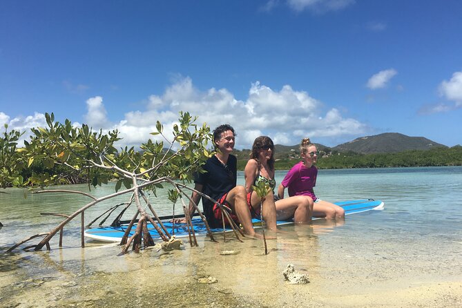 Magic Mangrove Paddle in Beef Island Lagoon - Booking and Confirmation