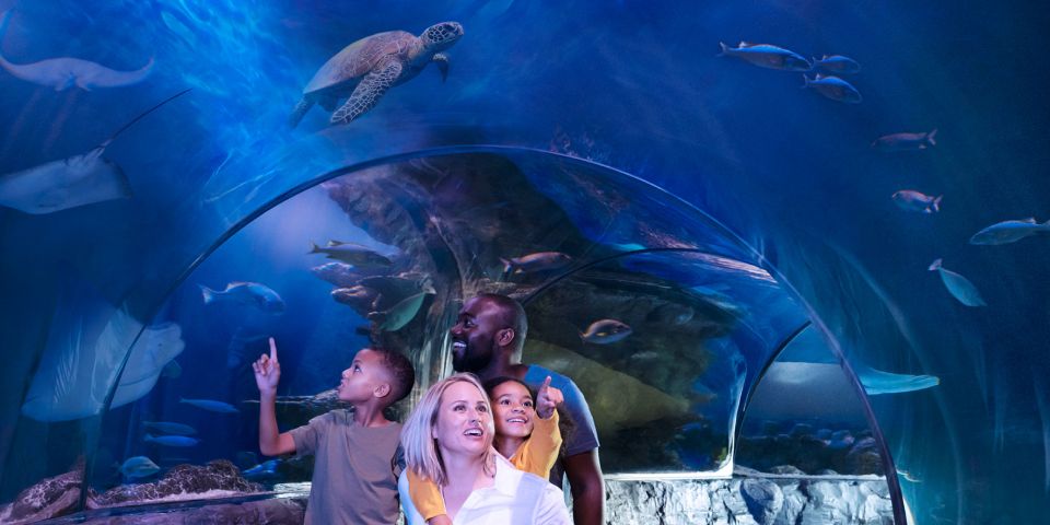 Mall of America: Sea Life Minnesota Aquarium Entry Ticket - Visitor Logistics and Accessibility