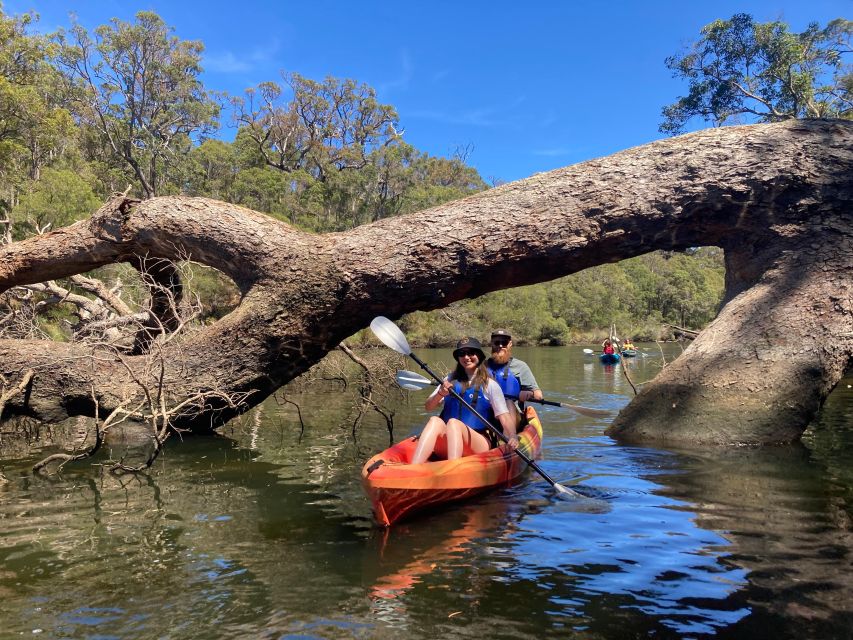 Margaret River: Guided Kayaking & Winery Tour With Lunch - Frequently Asked Questions