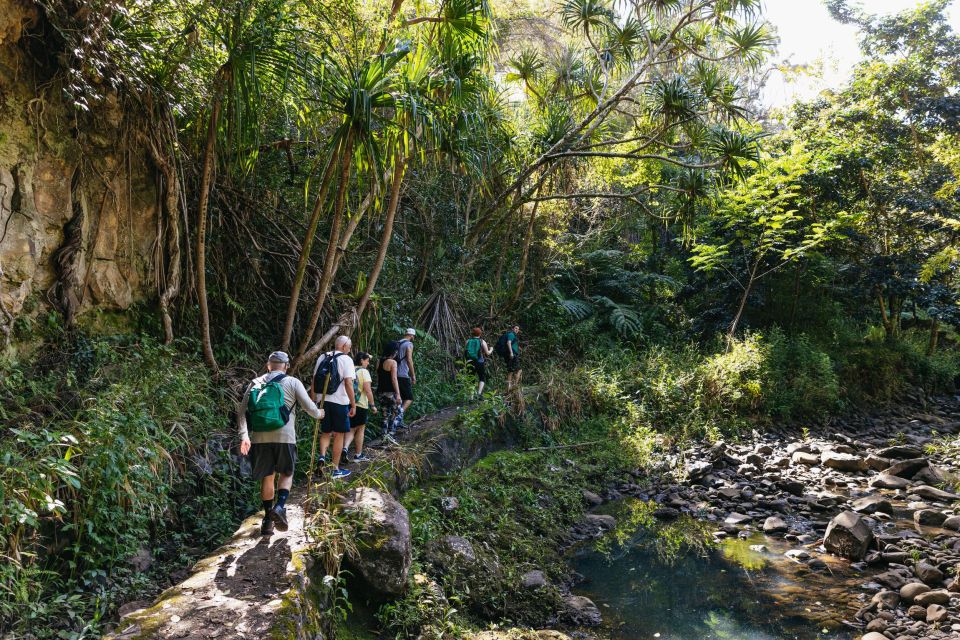 Maui: Rainforest Waterfalls Guided Hike With Picnic Lunch - Practical Tour Information