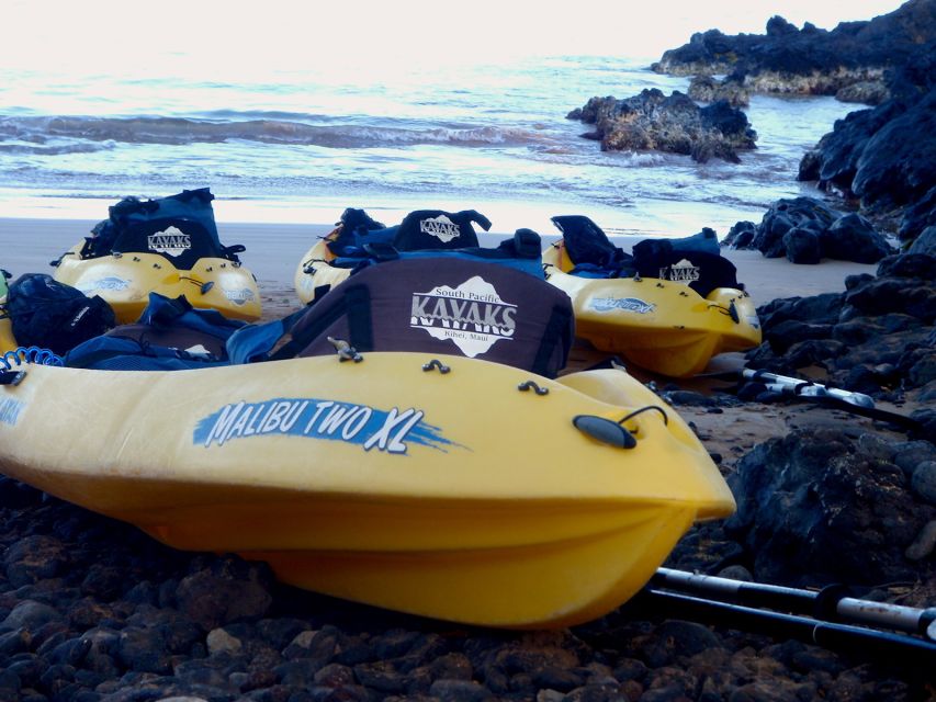 Maui: Turtle Town Kayak and Snorkel Tour - Recap