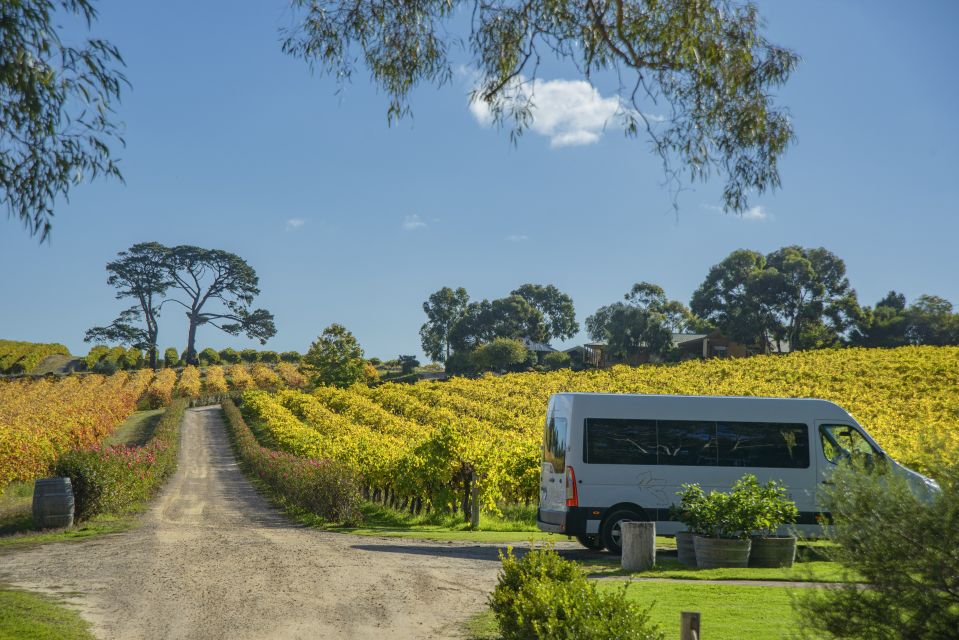 McLaren Vale Winery Experience - Small Group Tour - Recommendations