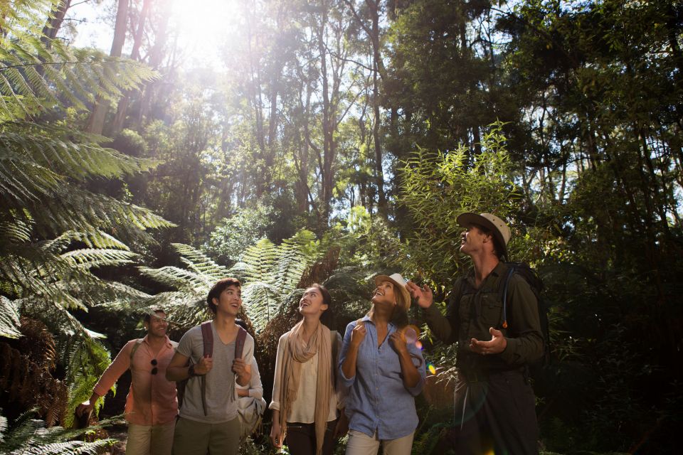 Melbourne: 2-Day Great Ocean Road & Grampians Tour - Exclusions and Restrictions