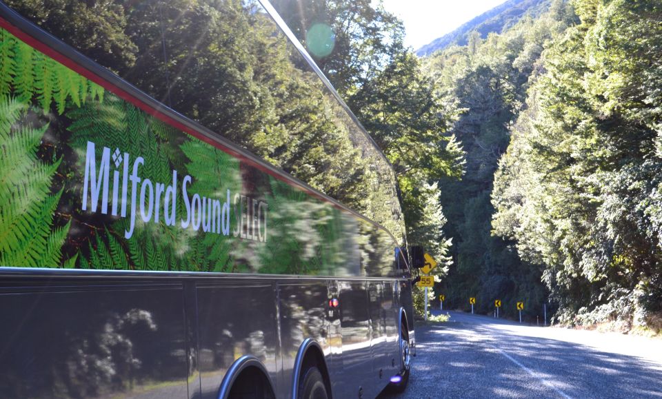 Milford Sound Premium Day Tour and Cruise From Te Anau - Price and Duration