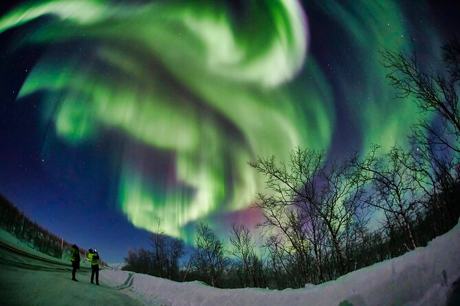 Minivan Northern Lights Excursion (8 Guests per Minivan) - Chasing the Northern Lights