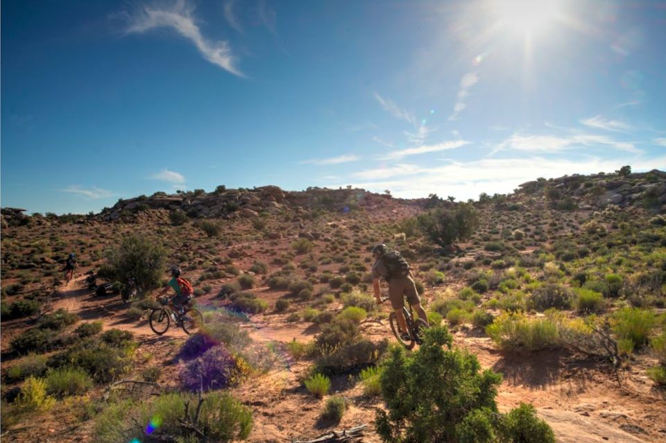 Moab: Mountain Bike Half Day Tour - Exploring Moabs Landscapes