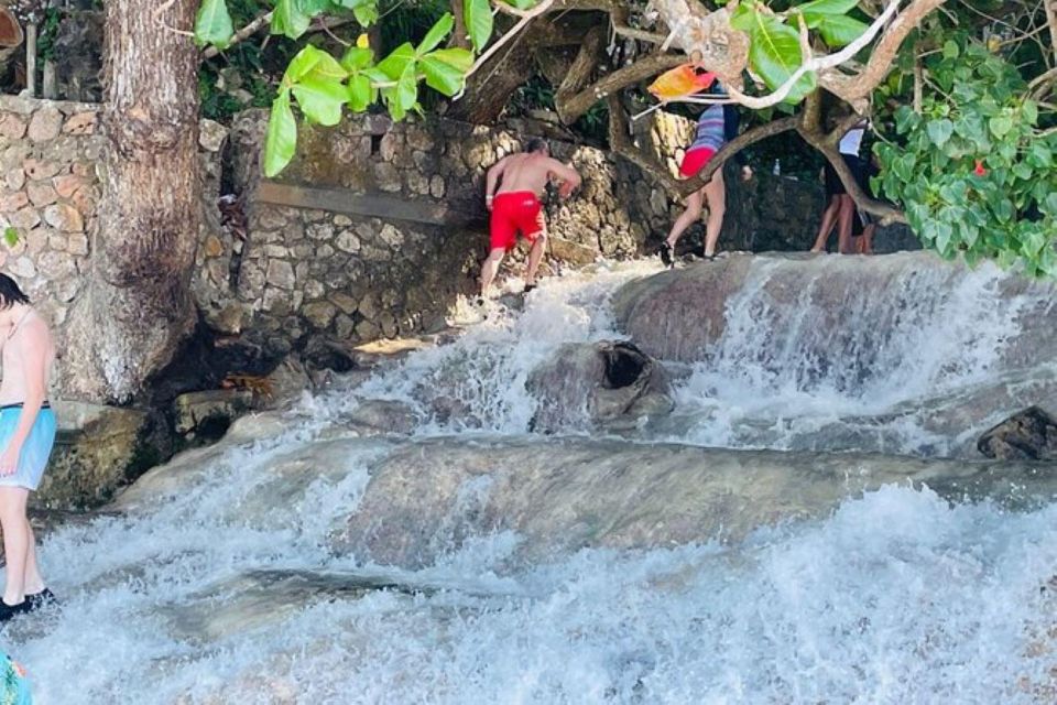 Montego Bay: Private Bob Marley and Dunns River Falls Tour - Bob Marleys Legacy