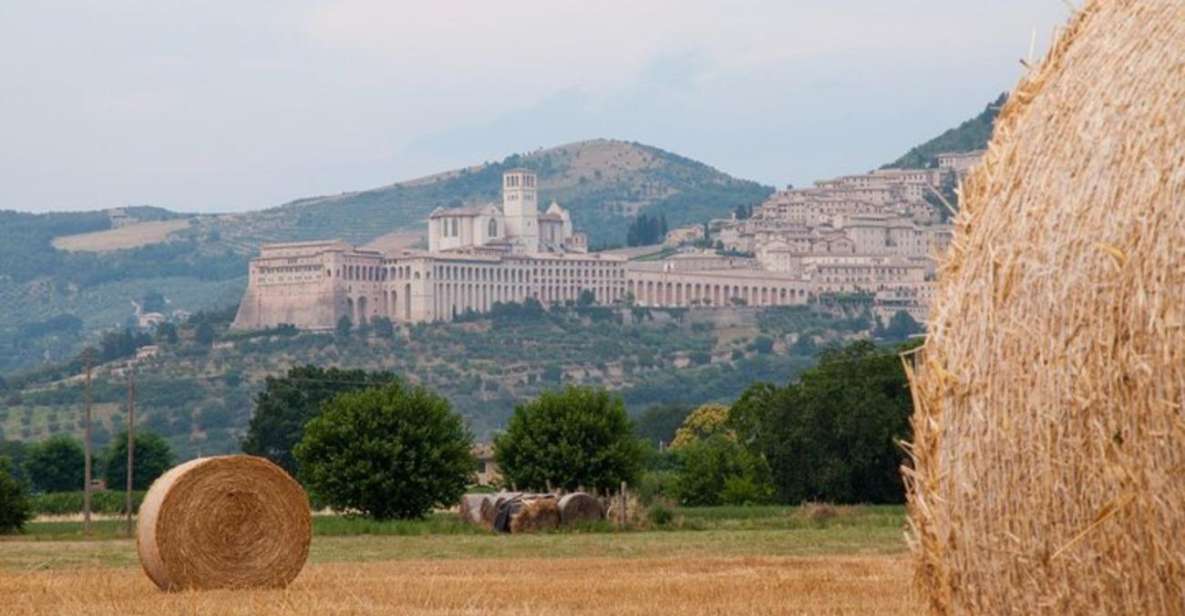 Montepulciano Wine Tasting and Assisi Private Day Tour - Tour Highlights