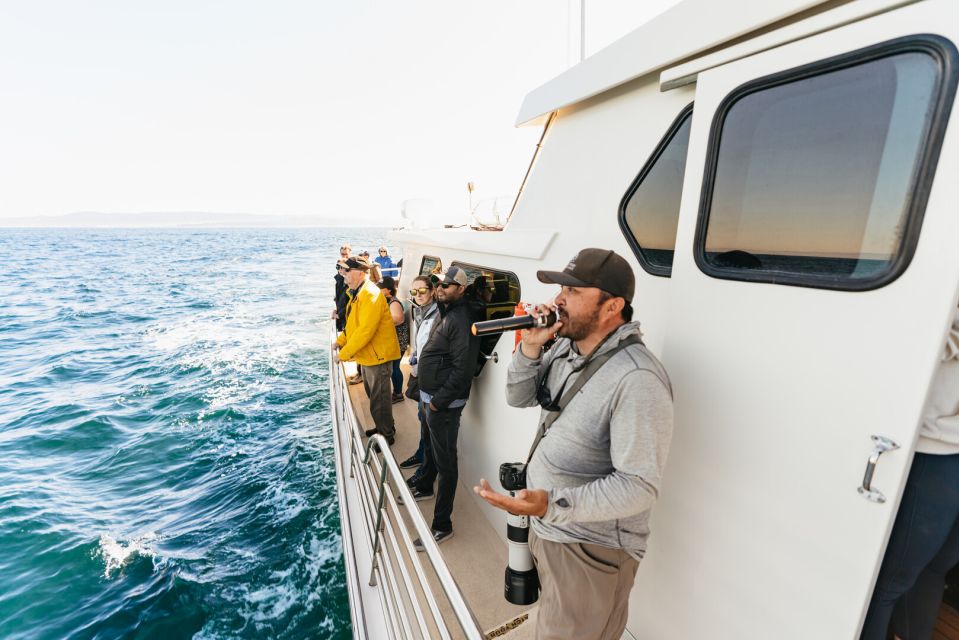 Monterey Bay: Whale Watching Tour - Accessibility