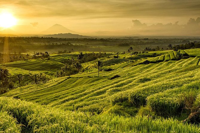 More Complete: Discover Bali In 3 Days Private Tour Package - Booking and Cancellation