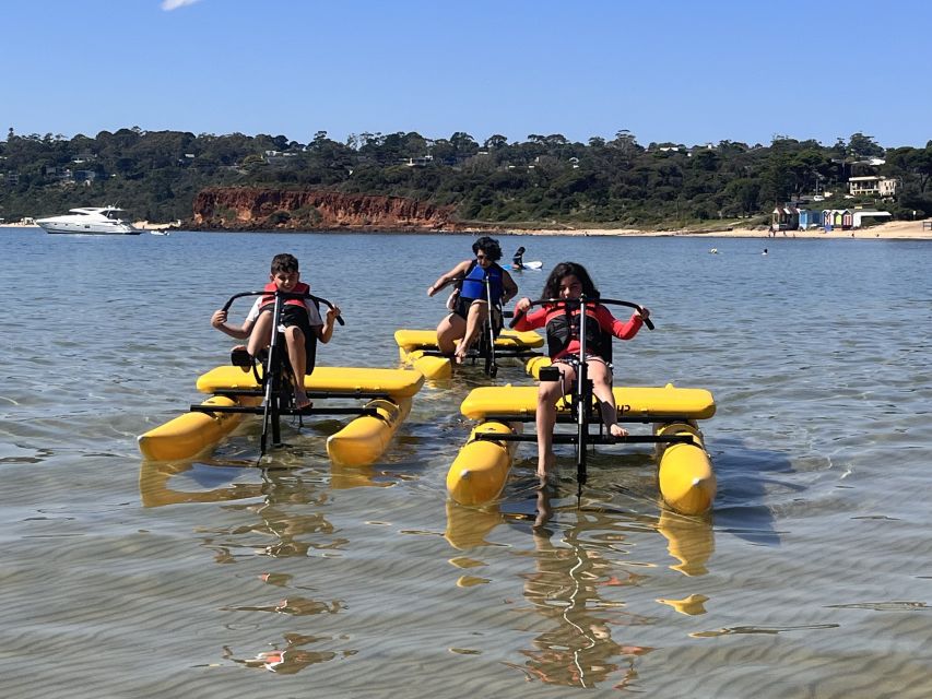 Mornington: Port Phillip Bay Water Bike Tour - Frequently Asked Questions