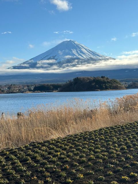 Mount Fuji Full Day Private Tour (English Speaking Driver) - Pickup and Drop-off