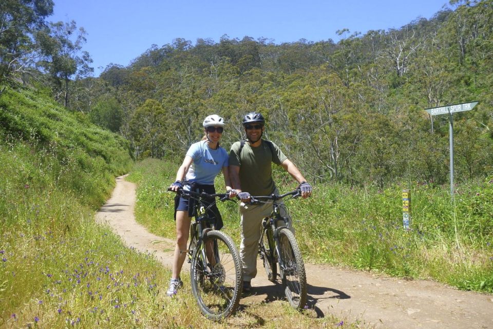 Mount Lofty Downhill Bike Tour & Cleland Wildlife Park Visit - Customer Reviews