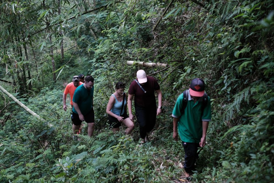 Mt. Merapi Majesty: Soft Trek and Botanic Village Tour - Scenic Trek Beneath Merapi