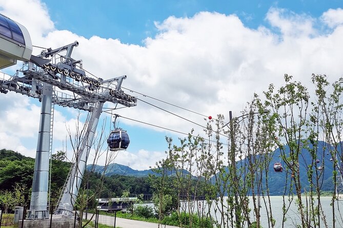 Nami Island, Cable Car, Garden of Morning Calm Panoramic Tour - Policies