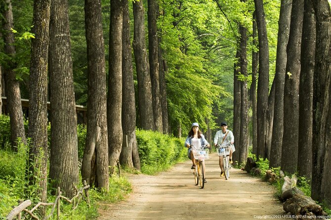 Nami Island Trip With Petite France & Italian Village and Gangchon Rail Bike - Important Tour Information