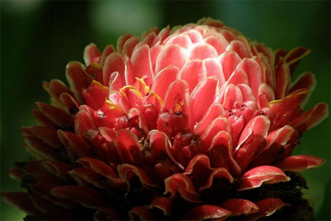 Natural Wonders of Barbados Small-Group or Private Tour With Harrisons Cave - Wildlife Encounters at the Reserve