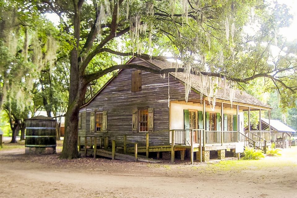 New Orleans: Destrehan Plantation & Swamp Combo - Wildlife Spotting