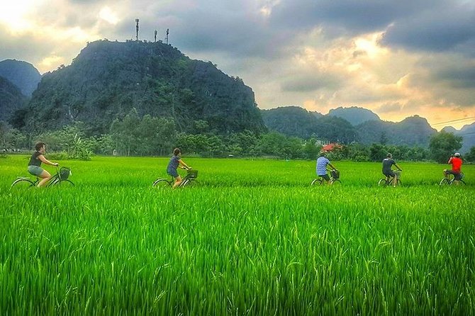 Ninh Binh Tour Bai Dinh Trang An Mua Cave Small Group Limousine - Buffet Lunch