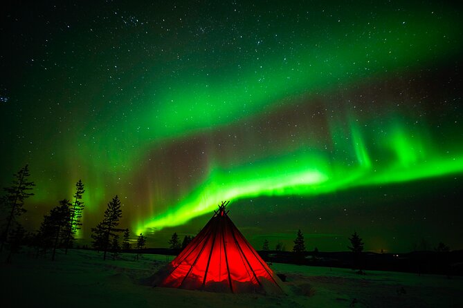 Northern Lights Wilderness Small-Group Tour From Rovaniemi - Booking and Reservations