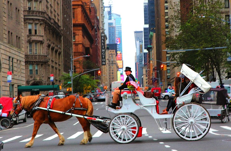 NYC: Central Park Horse-Drawn Carriage Ride (up to 4 Adults) - Important Information