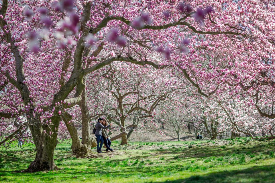 Nyc: New York Botanical All-Garden Pass Entry Ticket - Autumn and Holiday Seasonal Displays