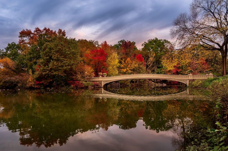 NYC:Guided Central Park Horse Carriage Ride - Booking and Savings