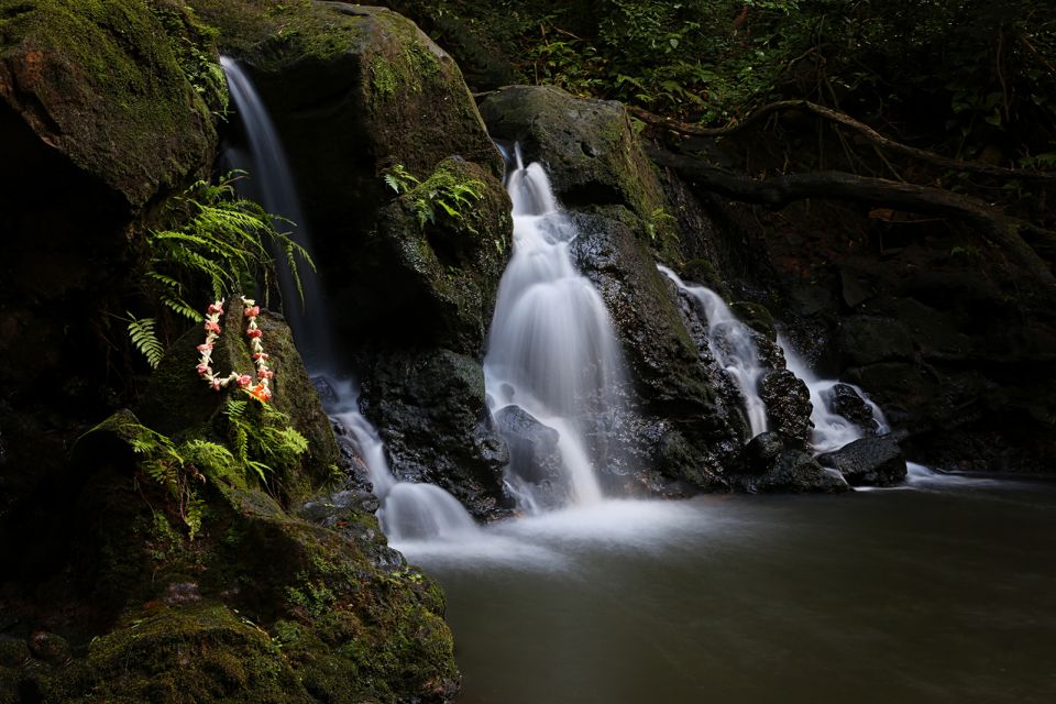 Oahu: Half-Day Sunset Photo Tour From Waikiki - Scenic Locations