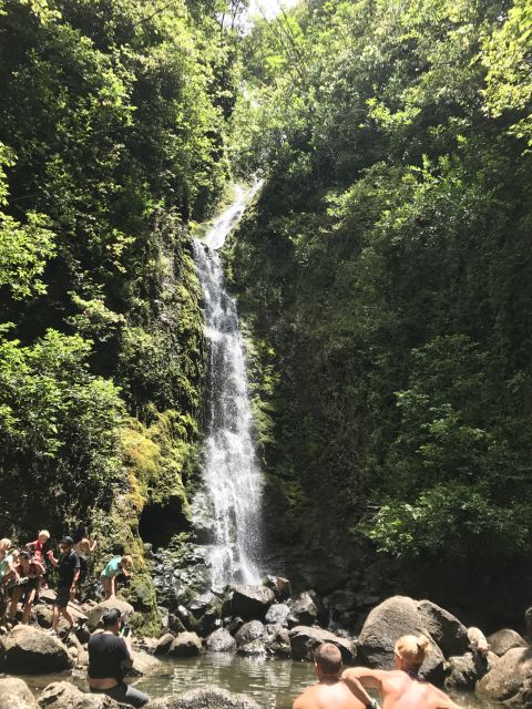 Oahu: Private Island Tour - Haleiwa Town and Farm