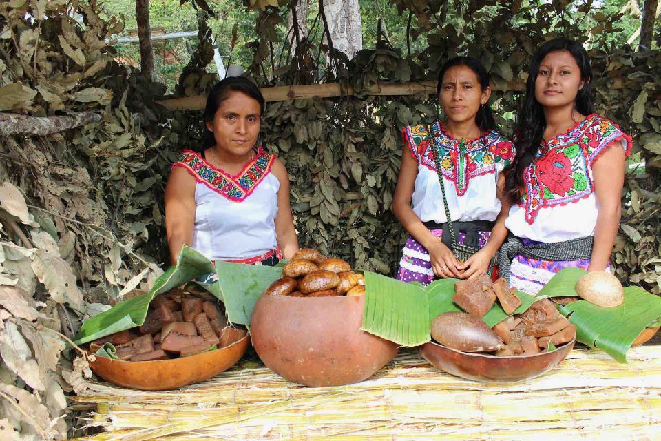 Oaxaca: Crafts & Cuisine Culture Tour - Exploring Family-Owned Artisan Studios