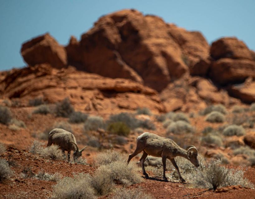 Off-road Desert Adventure: Secrets of the Old West - Frequently Asked Questions