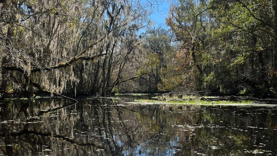 Old Florida Backwater Kayak Adventure Near St. Augustine - Restrictions and Considerations