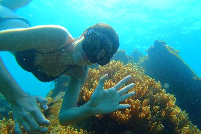 Onbird - PRIVATE ADVENTURE SNORKELING - Explore Half-Moon Reef & Coral Mountain - Refreshments and Fruits Provided