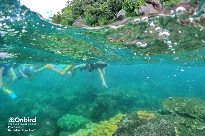 Onbird - Private Family KID-FRIENDLY Snorkeling Trip by Speedboat in Phu Quoc - Snorkeling Experience