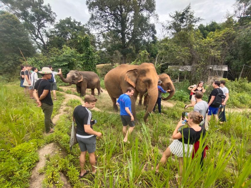 One Day Non Tourist Trek - Elephant Care