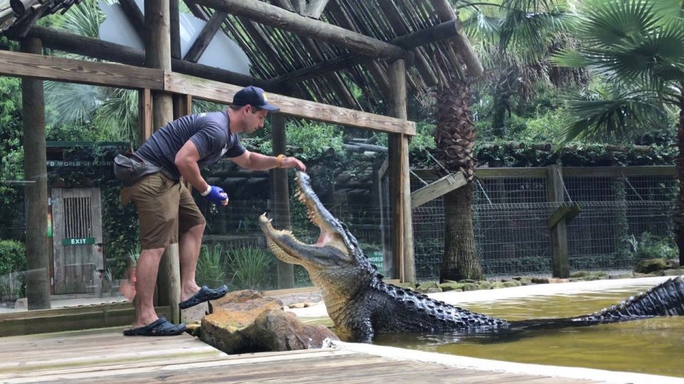 Orlando: Everglades Airboat Ride and Wildlife Park Ticket - Inclusions and Pricing