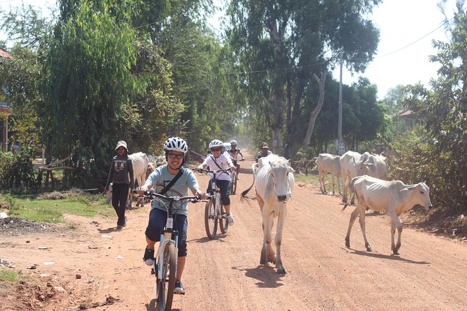 Oudong Mountain And Floating Village Cycle Tour - Traveler Reviews and Feedback