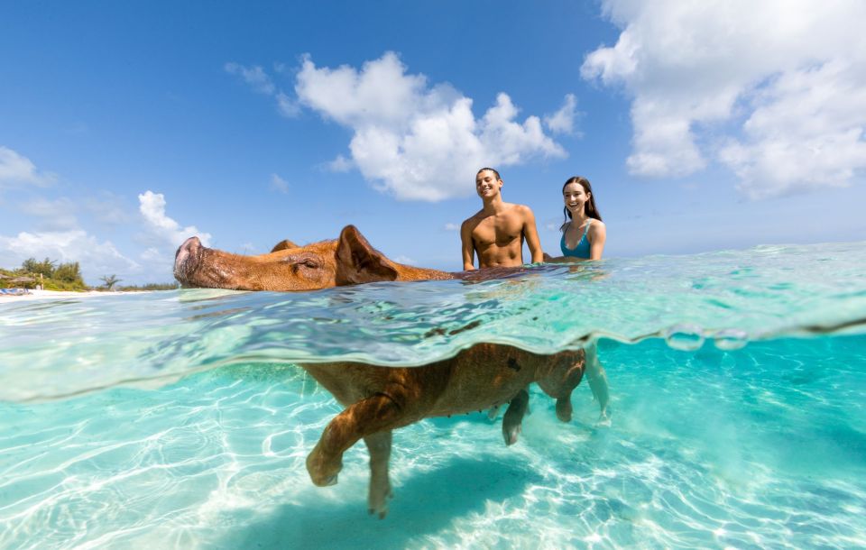 Paradise Island: Rose Island Tour With Swimming Pigs & Lunch - Water Sports and Facilities