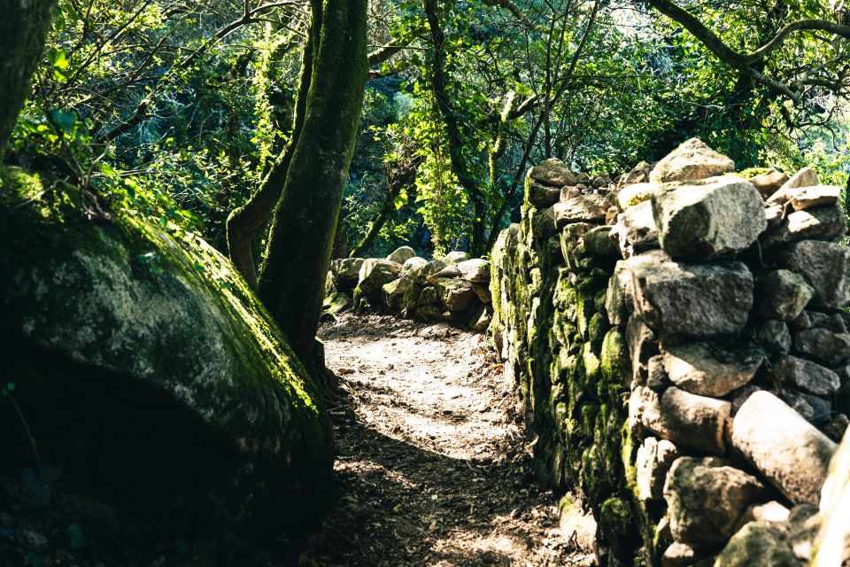 Pena Palace, Moorish Castle,Quinta Ad Regaleira:Walking Tour - Guided Visit to Quinta Da Regaleira