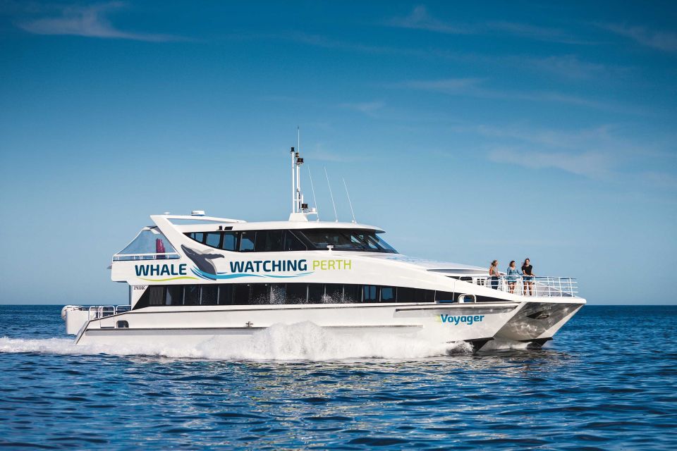 Perth: Whale Watching Cruise From Hillarys Boat Harbor - Recap