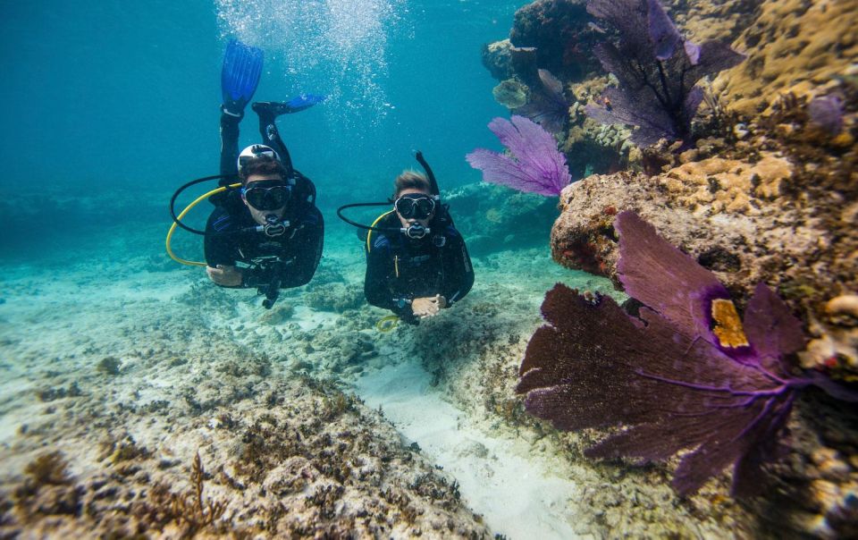 Phuket: Coral Island Snorkeling and Water Activities Trip - Snorkeling Experiences