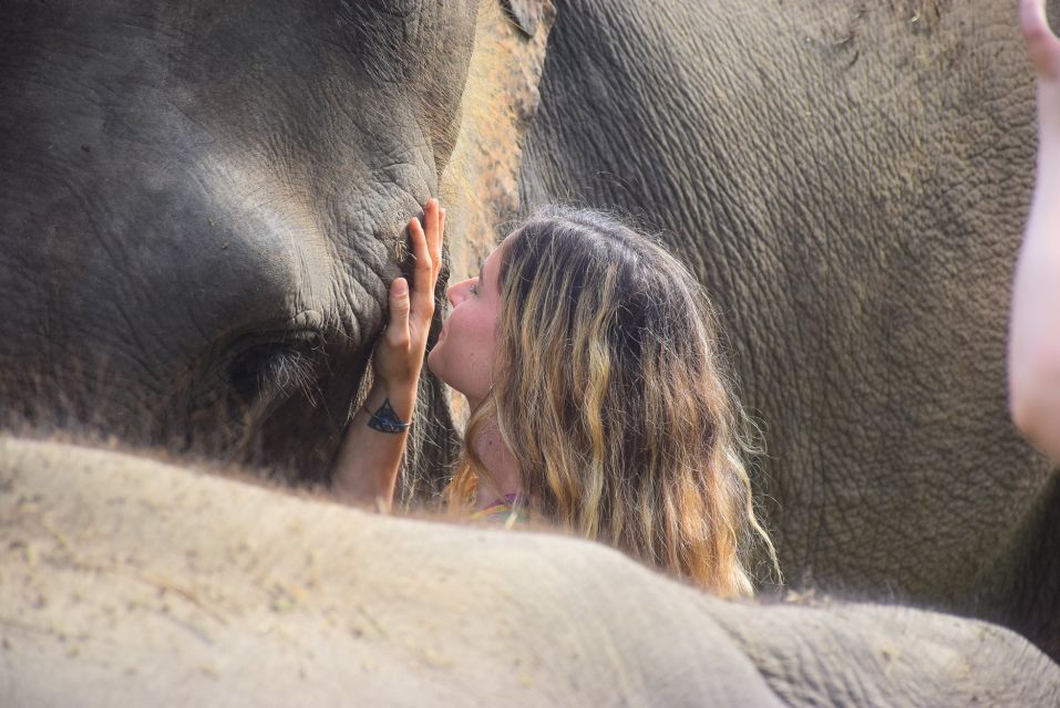 Phuket: Elephant Save & Care Program Tour - Lunch and Refreshments