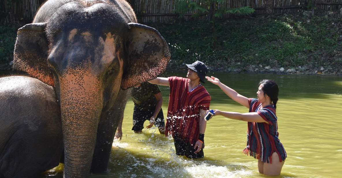 Phuket: Half Day or 2-Hour Ethical Elephant Care Sanctuary - Duration and Availability