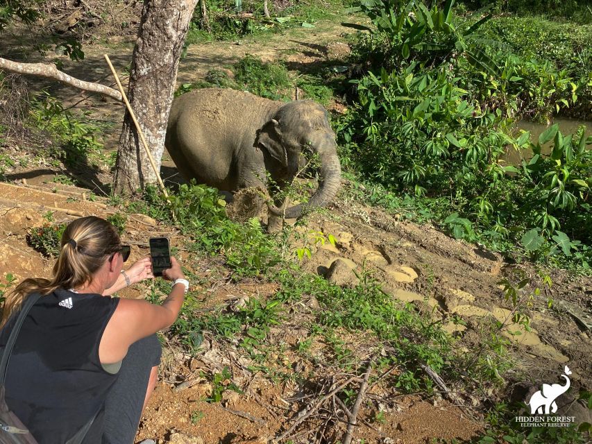 Phuket: Hidden Forest Elephant Reserve With Meal & Transfer - Vegetarian Meal by the Pond