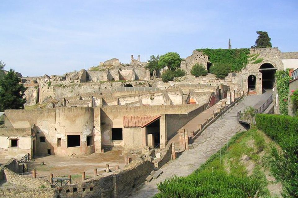 Pompeii and Vesuvius Full-Day Tour From Amalfi Coast - Inclusions and Exclusions